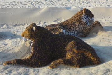 Panthère et guépard sur la plage d&#039;Arcachon